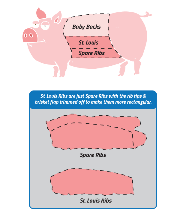 A diagram showing locations of rib types on a pig.