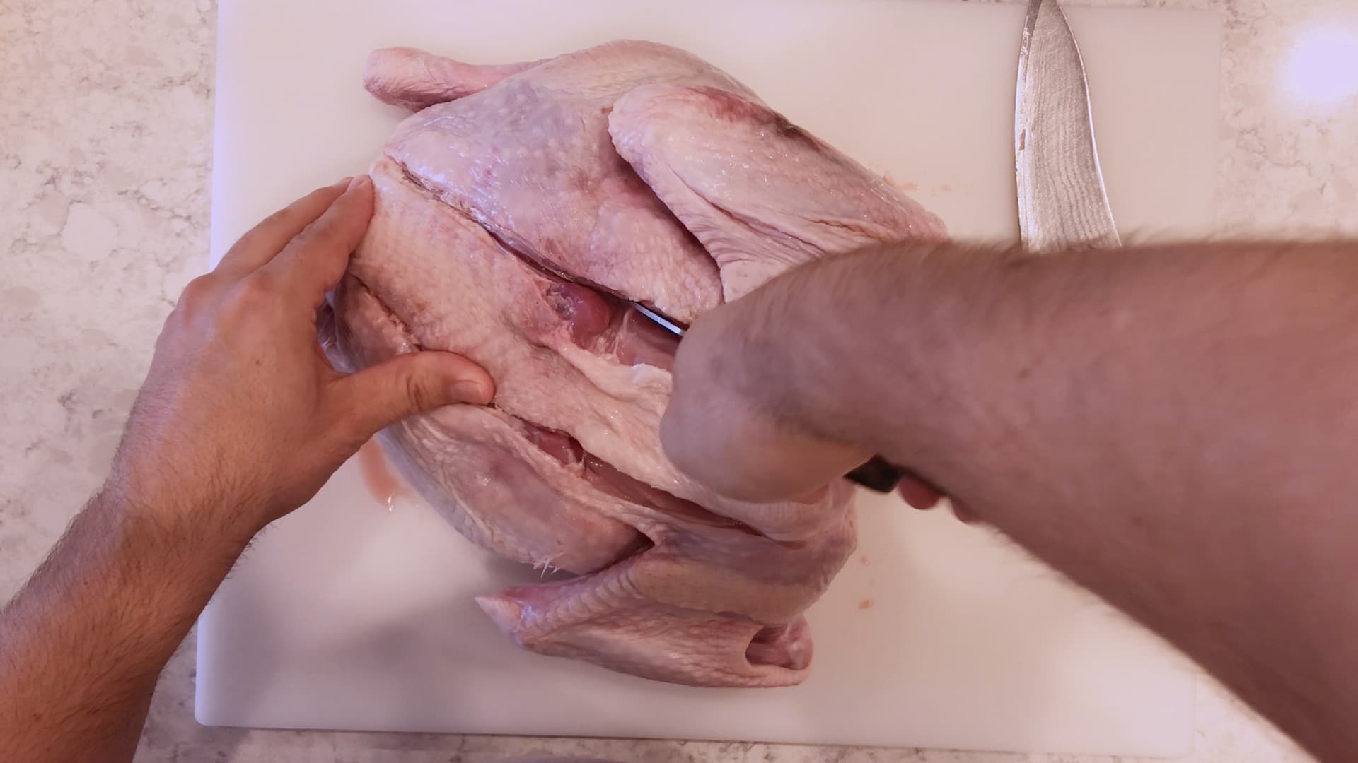 cutting the backbone out of a turkey with kitchen shears